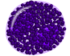 Basophil.png