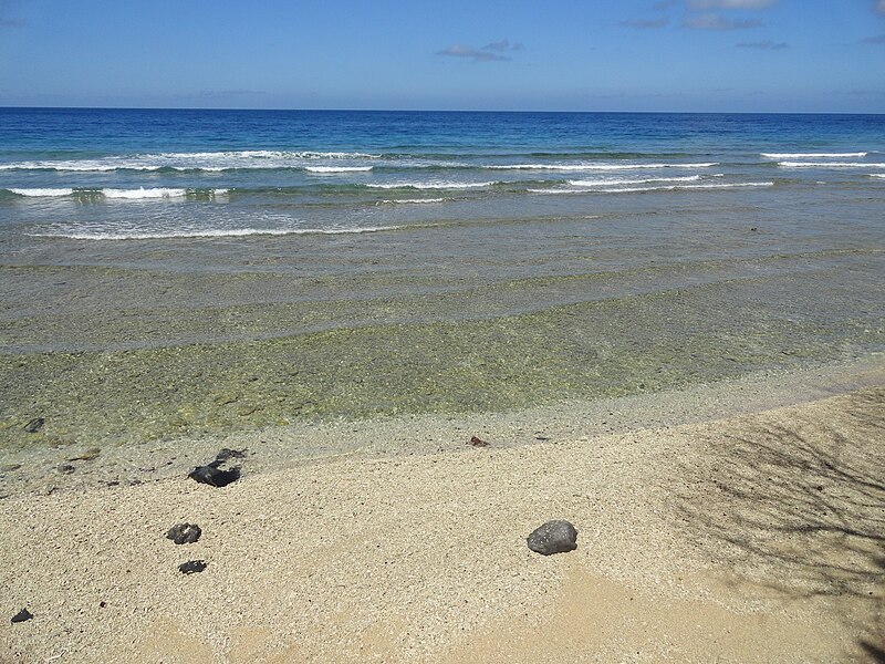 File:Beach on the Southern Coast of Pulau Tidore, The Moluccas (Maluku) (15176607056).jpg