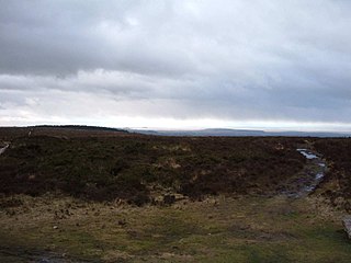 <span class="mw-page-title-main">Black Down, Somerset</span> One of the Mendip Hills in Somerset, England