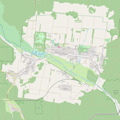 Mapa konturowa Białowieży, blisko prawej krawiędzi na dole znajduje się punkt z opisem „Wysokie Bagno”