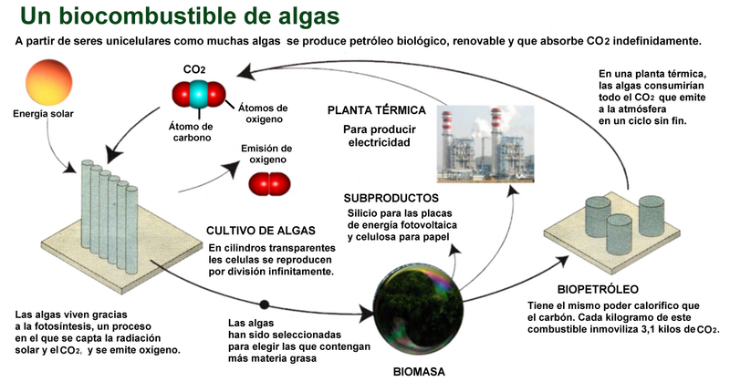 Fichier:Biocarburant-es.png