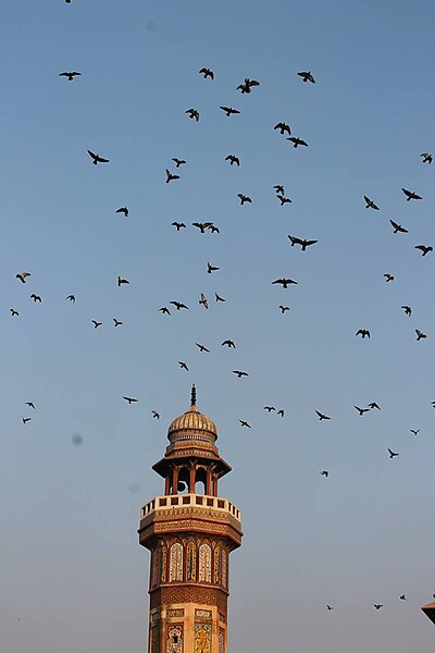 File:Birds flying over minaret at Wazir Khan Mosque.jpg