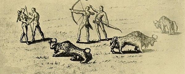 Bison and Indians of De Bry, 1595. Pedro Castaneda, a soldier with Coronado on the Southern Plains in 1542, compared the bison with "fish in the sea".