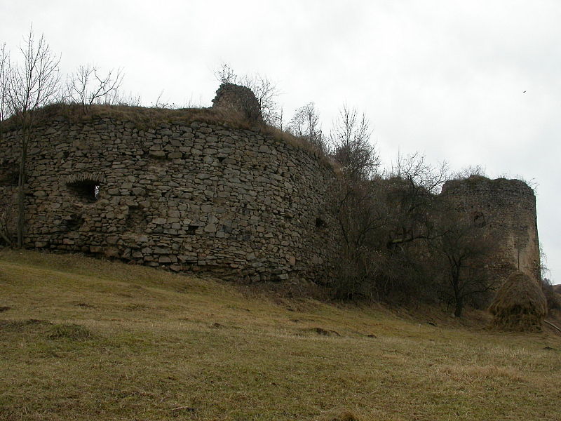 File:Bologa Cetatea (10).JPG