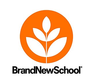 <span class="mw-page-title-main">Brand New School</span>