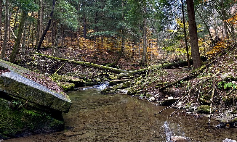 File:Bridal Falls, Allegany State Park, New York - 20211109 - 12.jpg