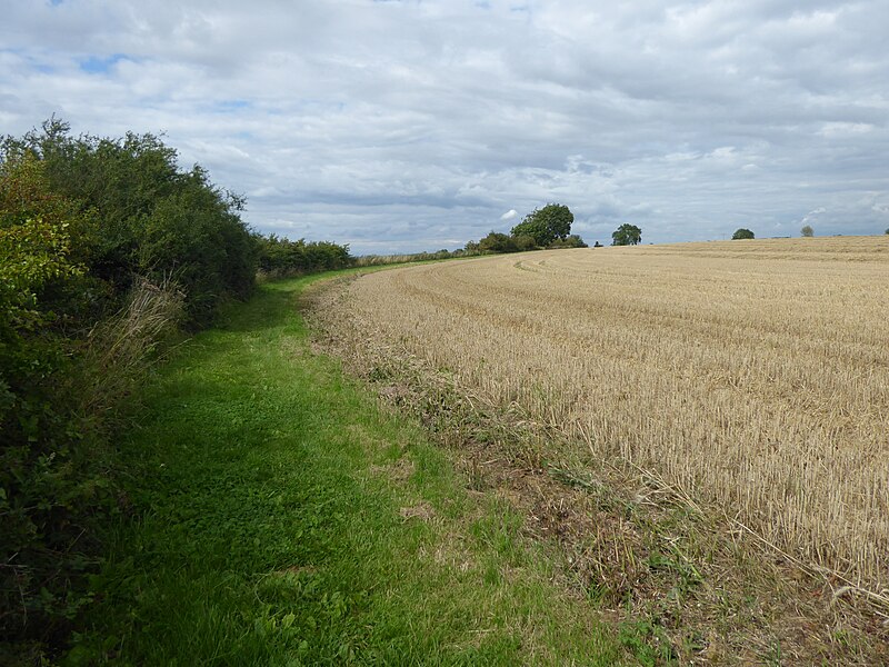 File:Bridleway off Gorse Hill Lane - geograph.org.uk - 5500812.jpg