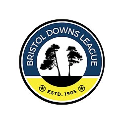 Bristol Downs League New.jpg