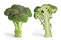 Broccoli and cross section edit.jpg