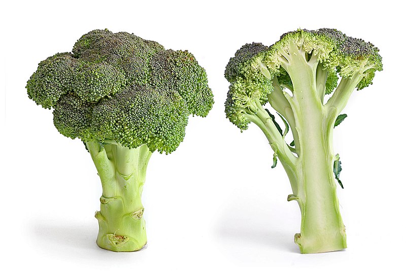 File:Broccoli and cross section edit.jpg
