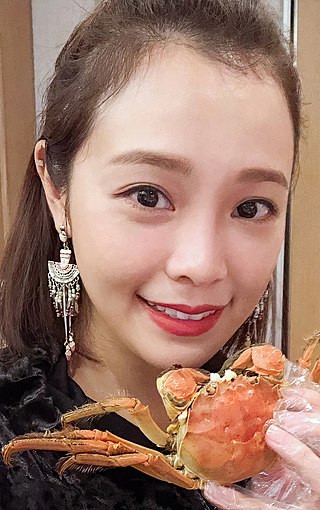 <span class="mw-page-title-main">Apple Chan</span> Hong Kong-born Singaporean actress and singer