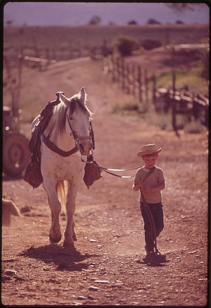 File:CHILD WITH HORSE ON RANCH - NARA - 543783.jpg