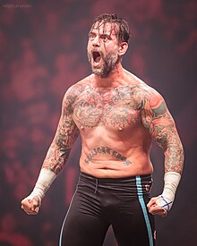 Every Look Of CM Punk's Career, Ranked Worst To Best