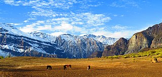 Caballos En La Cordillera (76473399).jpeg