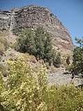 Thumbnail for Colorado River (Aconcagua)