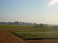 Miniatura para Parque agrario del Bajo Llobregat