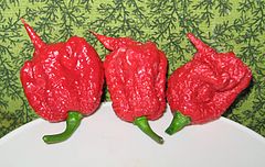 Carolina Reaper