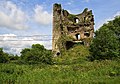 Castles of Munster, Clonea, Waterford (2) - geograph.org.uk - 3038201.jpg