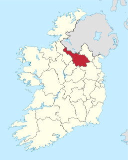 2014 Cavan County Council election