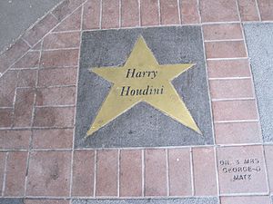 Harry Houdini: Biografía, Origen, Efectos (trucos)