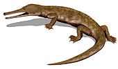 Life restoration of the Late Cretaceous-Eocene choristoderan reptile Champsosaurus Champsosaurus BW.jpg