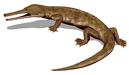 Life restoration of the Late Cretaceous-Eocene choristoderan reptile Champsosaurus Champsosaurus BW.jpg