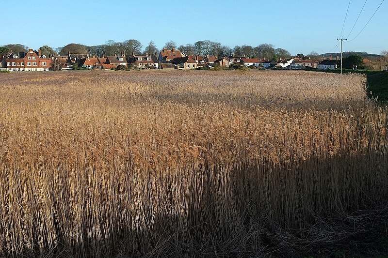 File:Cley across the reedbeds - geograph.org.uk - 4809756.jpg