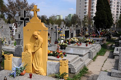 Jak dojechać komunikacją do Cmentarz Na Służewie - O miejscu docelowym