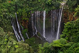 Coban Sewu Waterfall