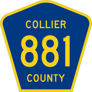 <span class="mw-page-title-main">County Road 881 (Florida)</span> County road in Florida, United States