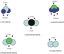 Common molecules and atoms.svg