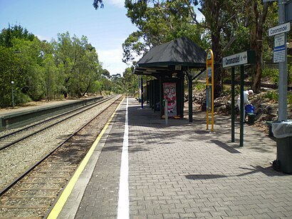 How to get to Coromandel Railway Station with public transport- About the place