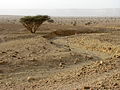 Creek bed below the escarpment (3849074983).jpg