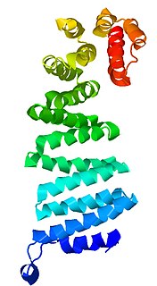 Soluble NSF attachment protein Protein family