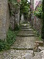 Vaison-la-Romaine: mittelalterliche Oberstadt