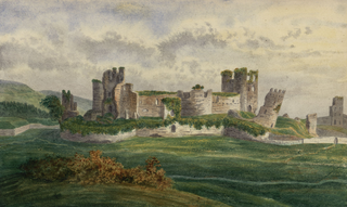 View of Caerphily castle