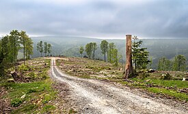 Deforested area, Thuringia