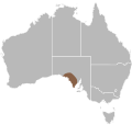 Range of Peterson's Delma (Delma petersoni)