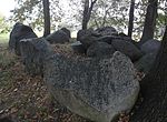 Great stone grave Diesdorf 1