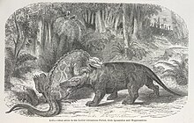 Edouard Riou's 1865 illustration of Iguanodon and Megalosaurus engaged in combat, from La Terre Avant le Deluge Dinosaurs fighting - The World before the Deluge (1865), plate XXI - BL.jpg