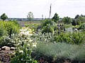 Jardines de exhibición