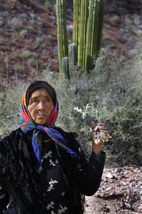 Doña Ramona, a Seri shaman from Punta Chueca, Mexico