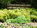 ÖRNEĞİN. Waterhouse Ulusal Kamelya Bahçesi (giriş işareti) .jpg