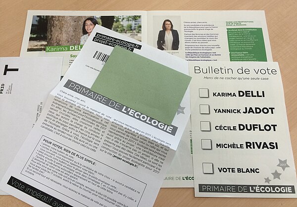 Voting materials for the first round of the ecologist primary