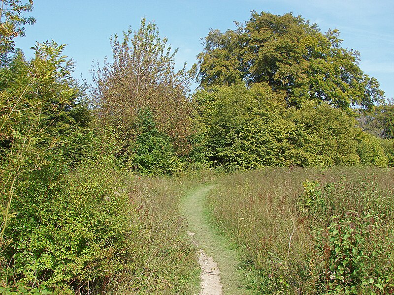 File:Early autumn, The Sheepleas - geograph.org.uk - 4181073.jpg