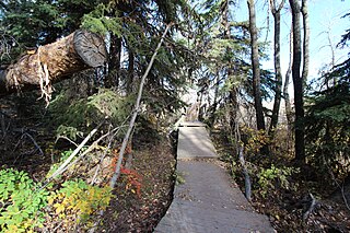 <span class="mw-page-title-main">Wood's Douglas Fir Tree Sanctuary</span> Park in Calgary, Alberta