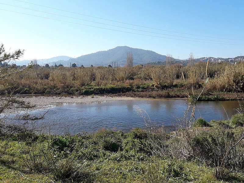 File:El Llobregat entre Sant Feliu de Llobregat i Sant Vicenç dels Horts - 20220130 124640.jpg