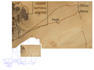 <span class="mw-page-title-main">Fachi</span> Commune in Agadez Region, Niger