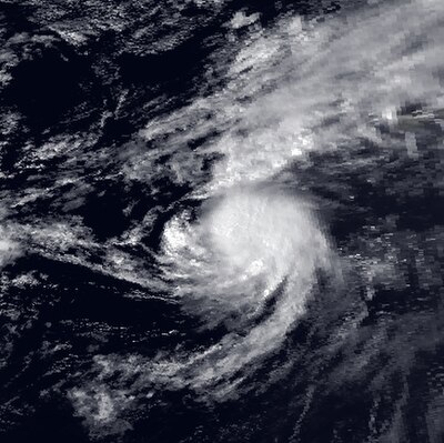 1991 Atlantic hurricane season