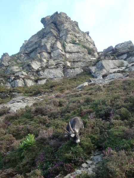 File:Eros rock - geograph.org.uk - 560570.jpg